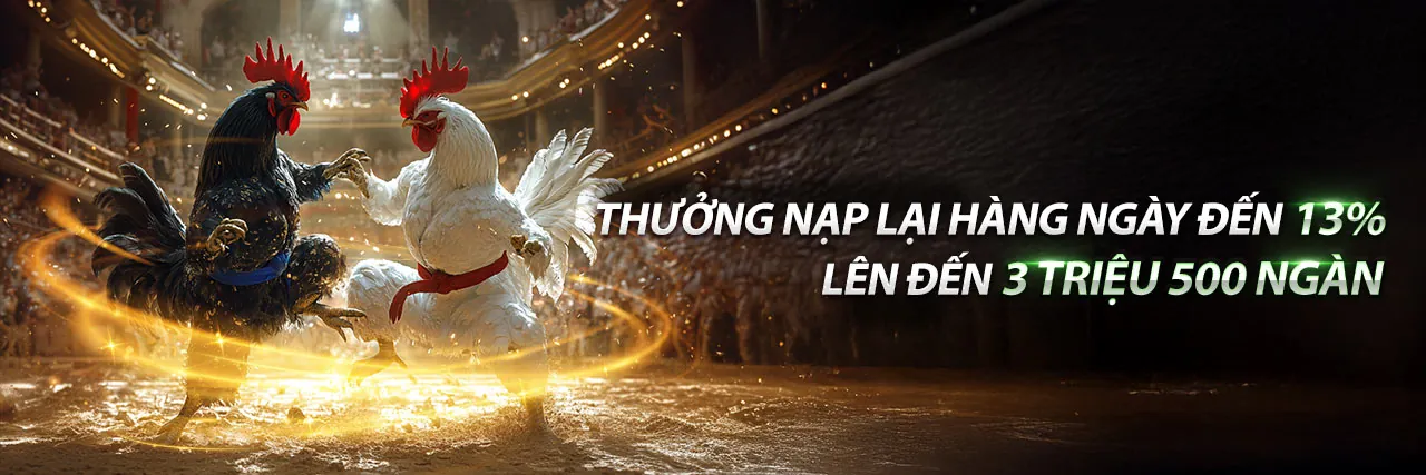 Đá Gà Trực Tuyến 123b 2026