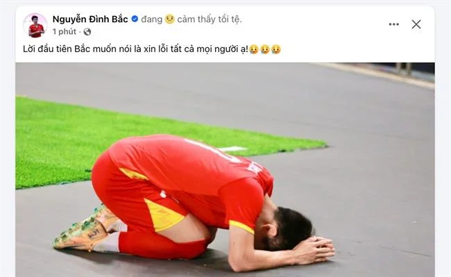 Hoa hồng cao 123b